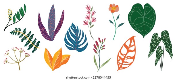 Set of spring colorful flowers. Set of floral branch, topic, jungle leaves, branches, flower, foliage. Isolated on white for greeting cards, Easter, thanksgiving. Spring set, hand drawn elements.