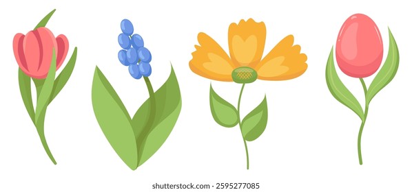 Set of spring cute flowers. Vector drawing pink tulip, blue hyacinth, yellow sun flower. Easter holiday floral decor. Logo for flower business, print, decor, decoration, decoration