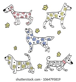 Set of spring dog flowers.Illustration.