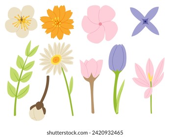 A Set of spring elements such as Cosmos, daisy, crocus, apple blossom, Frangipani, tulip, and others in a minimal shape floral concept, Vector