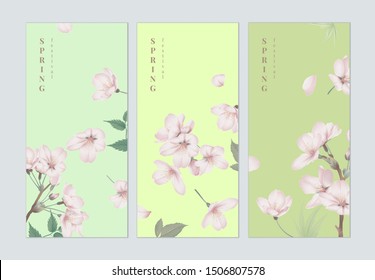 Set of spring festival brochure cover template design, pink sakura flowers with leaves on different green background