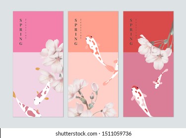 Set of spring festival brochure cover template design, pink sakura flowers and Koi fancy carp, pink tones