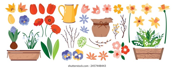 A set of spring field and garden flowers with leaves. Spring primroses are lilies of the valley, tulips, daffodils and flower garden pots. Flowers, leaves, buds of primroses. Vector illustration.