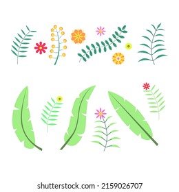 Set of spring floral and flower