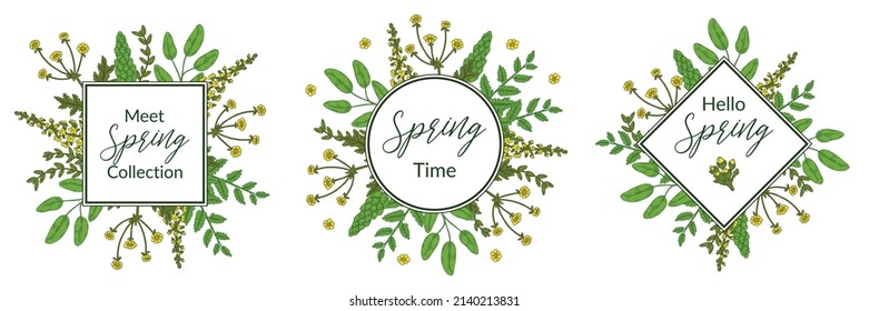 Set Of Spring Floral Green Frames With Meadow Flowers. Hand Drawn Vector Illustration