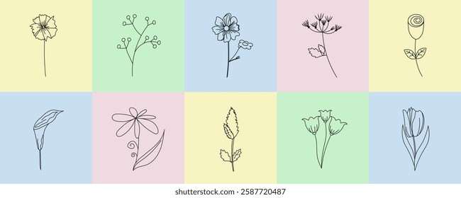 Set of spring flower elements. Botanical collection of wildflower in linear style in multicolored squares. Vector illustration for banners, easter posters, social media