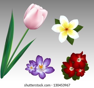 Set of spring flowers