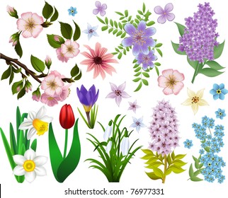 Set of spring flowers. All elements are grouped and easy to select