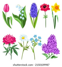 Set of spring flowers. Beautiful decorative bouquet of blooming plants.