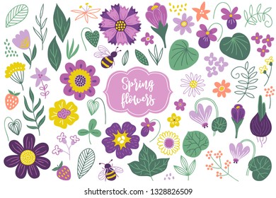 Set spring flowers   berries    tulip  crocus  viola  cyclamen  chamomile  daisy  mimosa  clover  sweet pea leaves  strawberry  Perfect for designing greeting cards