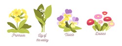 Set Spring Flowers, Bloom Garden Or Forest Blossoms Primrose, Lilly Of The Valley, Violets And Daisies, Natural Plants With Leaves And Petals Isolated On White Background. Cartoon Vector Illustration