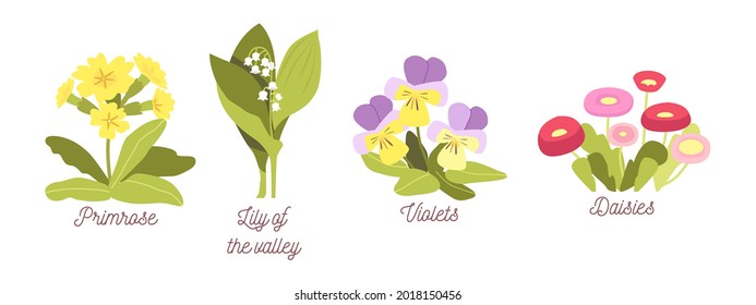 Set Spring Flowers, Bloom Garden or Forest Blossoms Primrose, Lilly of the Valley, Violets and Daisies, Natural Plants with Leaves and Petals Isolated on White Background. Cartoon Vector Illustration