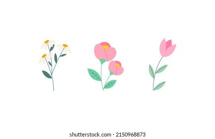 Set of Spring Flowers Collection