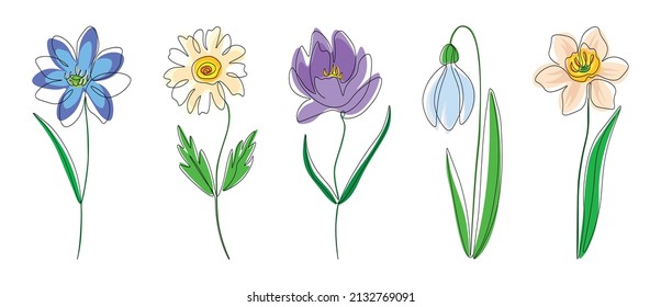 Set of spring flowers continuous one line on a white background. Set of flowers: primrose, chamomile, crocus, snowdrop and narcissus. Vector blue, white, yellow and purple flowers. Vector illustration