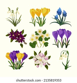 Set of spring flowers - crocus, apple blossom, muscari flowers, strawberry flowers, the snowdrop flowers. Illustration for background, textile, poster, scrapbooking, set of stickers, greeting cards.
