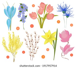 Set of spring flowers crocuses, tulips, daffodils, snowdrops isolated on white background. Primroses, field and garden flowers. Vector illustration