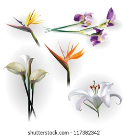 Set of spring flowers for design purposes. Fully editable vector.