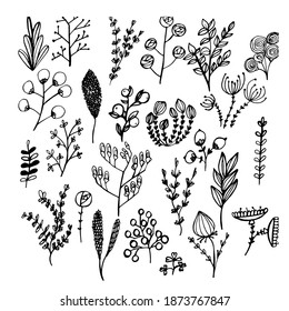 Set with spring flowers, dried flowers. hand-drawn liner. Decorative wildflowers, Stylization of plants, small beautiful flowers. For textiles, design, packaging, paper. Isolate. Stock graphics.