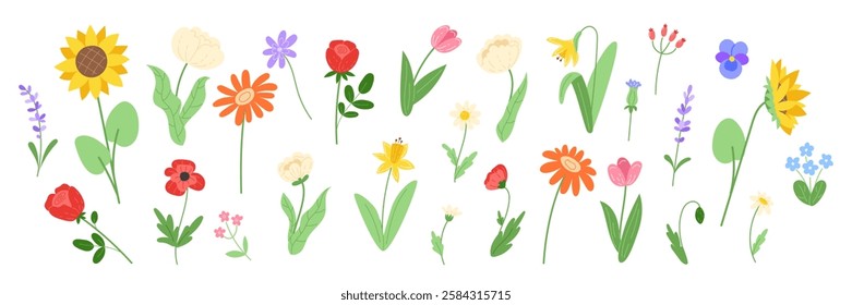 Set of spring flowers in a flat style isolated on a white background, including daisies, peonies, daffodils, tulips, roses, gerberas, sunflowers, violets, poppies, lavender, and other wildflowers