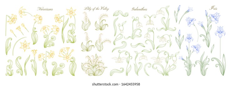 Set of spring flowers: iris, lily of the valley, snowdrop, daffodil. In art nouveau style, vintage, old, retro style. Outline vector illustration.