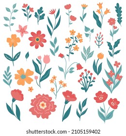 Set of spring flowers isolated on white background. Vector graphics.