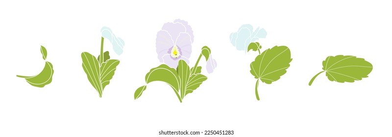 con flores de primavera, hojas, brotes en un fondo aislado