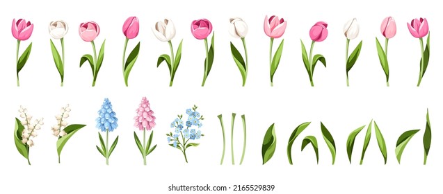 Set of spring flowers and leaves (pink, blue, and white tulips, hyacinth flowers, forget-me-not flowers, and lily of the valley flowers) isolated on a white background. Vector illustrations