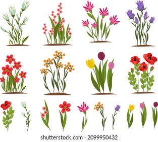 Set of spring flowers on the garden bed. Floral vector drawing. For use in decor, postcards, flower shops, brochures and covers, prints.
