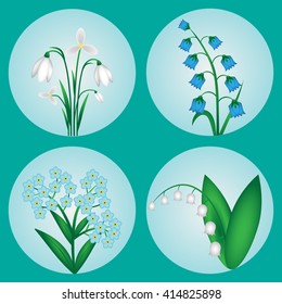 Set of spring flowers on a turquoise background
