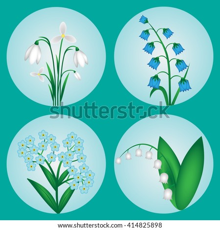 Set of spring flowers on a turquoise background