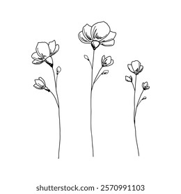 A set of spring flowers on a twig stem is hand-drawn, isolated on white, line drawing, vector. Black and white contour illustration, sketch style. Floral blooming element for decoration, postcard