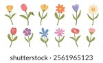 Set of spring flowers, on a white background