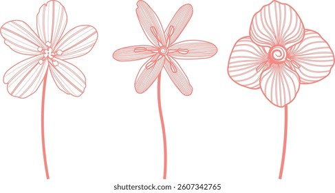 Set of spring flowers on white background. Anemone nemorosa, Gagea and Viola odorata. Flowers with hatching in warm coral color