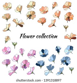 Set of spring flowers of pink, blue and beige flowers on a white background. Collection of multicolored daisies drawn by hand.