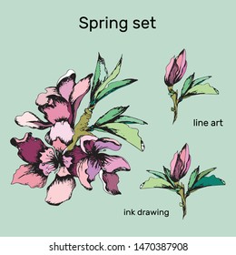 Set of spring flowers of pink color on a green background. Hand-drawn ink. Vector illustration. Vintage style.