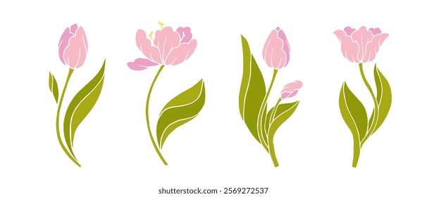 Set of spring flowers pink tulip. Seasonal botanical elements. Vector graphics.