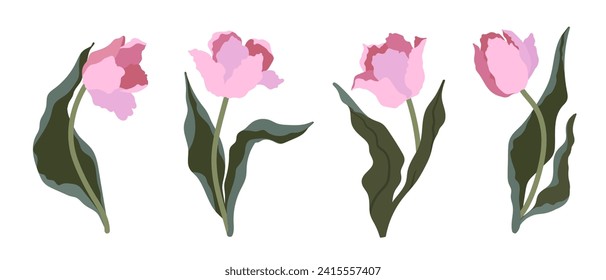 Flores primaverales de tulipanes rosados. Gráficos vectoriales.