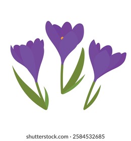 Set of spring flowers and snowdrop buds on white background. Wild spring blooming flowers. Flat vector illustration	
