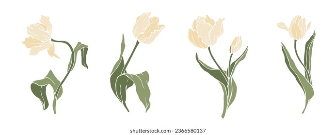 Set of spring flowers and tulip buds.Vector graphics.