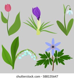 Set spring flowers. Tulips, crocuses, snowdrops, lilies, anemones. For use as logos on cards, in printing, posters, invitations, web design and other purposes.