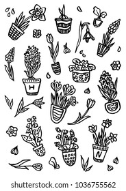 Set of spring flowers in vector. Hand drawn