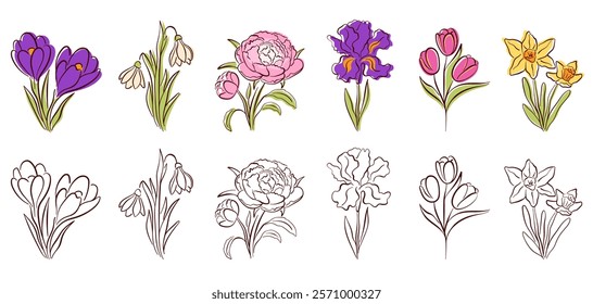 Set of spring flowers in vibrant colors and elegant line art style. Crocus, snowdrop, peony, iris, tulip and daffodil for nature or seasonal design project. Isolated on white background.