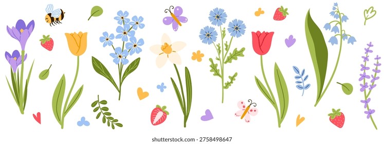 Set of spring flowers. Wildflowers, tulips, daffodil, floral elements, leaves, plants, bee and butterfly. Hand drawn vector illustrations