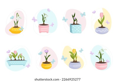 Set of spring flowers,tblpan,snowdrop,crocus in flowerpots with flying butterflies.Cartoon vector graphic.