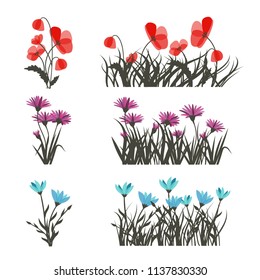 Set of spring garden flowers isolated on white. Vector floral elements for design.