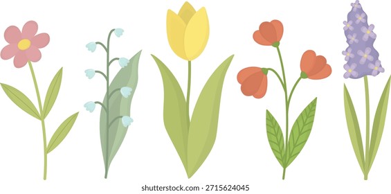 Set of spring garden flowers isolated on white. Cute botanical illustration with seasonal plants