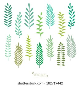Set of spring green leaves. Elements for design. Spring background. Vector illustration.