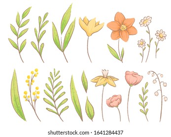 Set of spring herbs, plants and flowers. Imitation of handmade watercolor