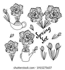Set for spring holidays, teapot, watering can, narcissus flower and bud , black color, doodle technique, cartoon vector picture for social networks, , lettering Spring set