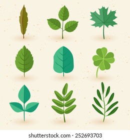 Set of spring leaves : Vector Illustration